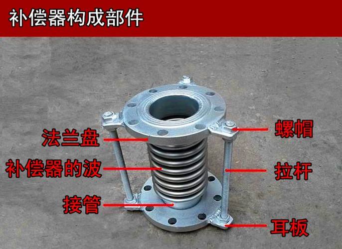 軸向波紋草莓下载在线入口價格